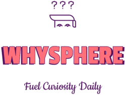 whysphere high resolution logo transparent (1)