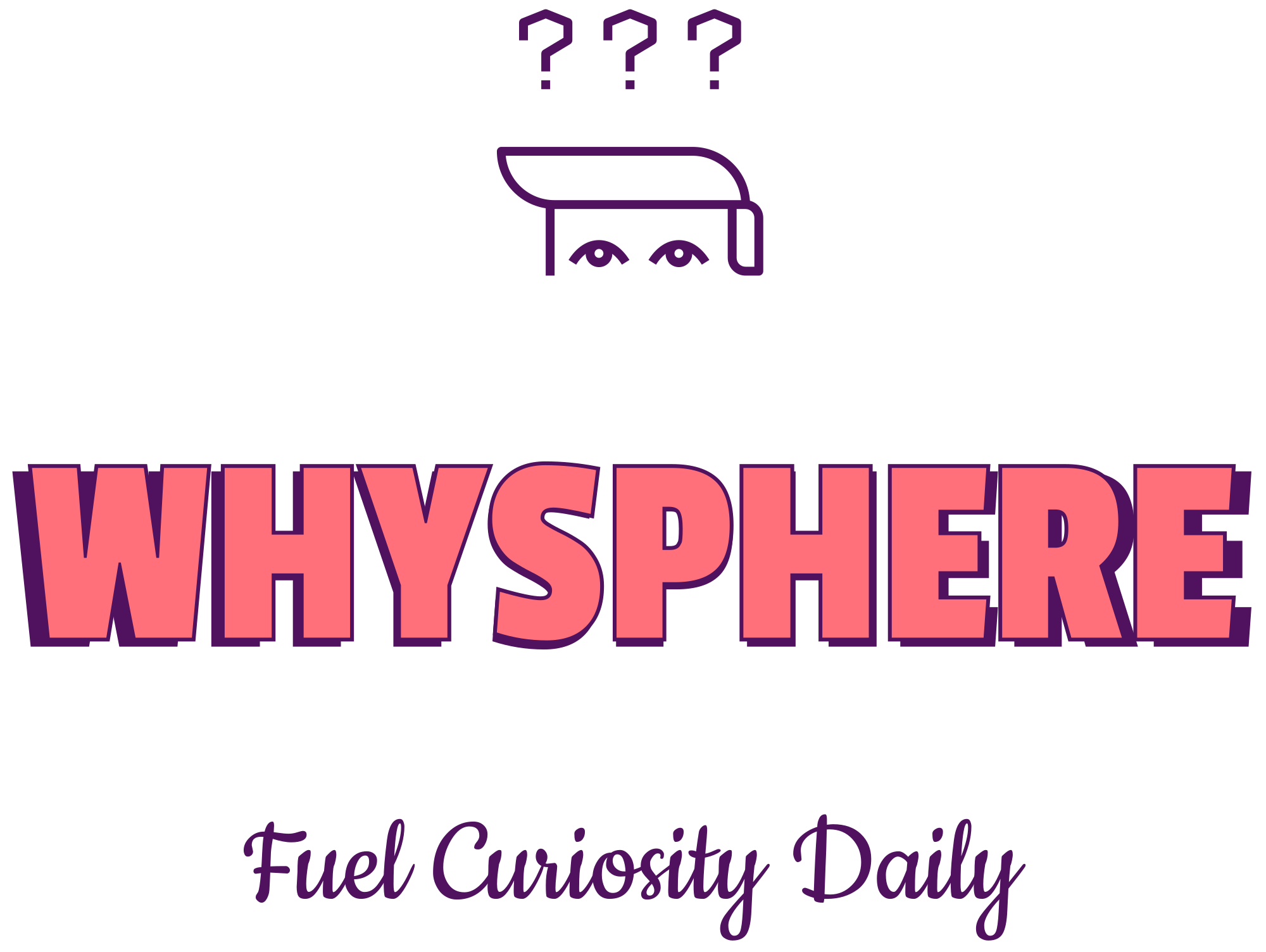 whysphere high resolution logo transparent (1)